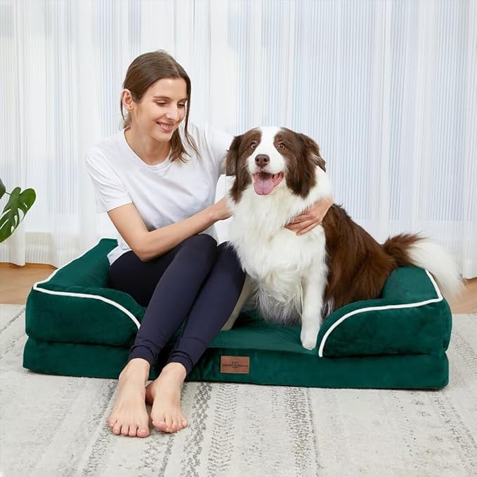 Comfort Expression Orthopedic Dog Bed for Large Dogs 36x27 Inch, Waterproof Supportive Egg Crate Foam Large Pet Bed with Removable Bolsters, Dog Couch with Washable Cover & Non-Slip Bottom, Emerald