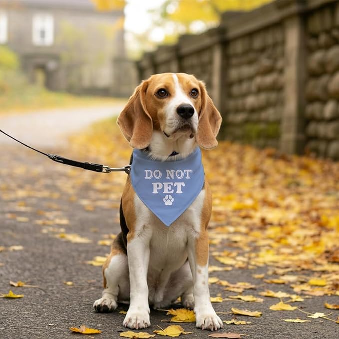 Do Not Pet Dog Bandana, Baby Blue Dog Bandana, Funny Cute Dog Bandana, Pet Dog Triangle Scarf, Pet Dog Scarf Accessories, Gift for Dog Lover, Dog Bandana for Small Medium Large Dogs (E60)
