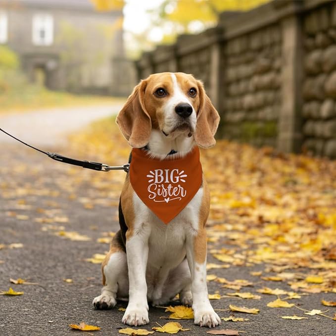 Big Sister Bandana for Dogs, Pet Pregnancy Announcement, Dark Orange Dog Bandana, Dog Baby Announcement, Pet Bandanas for Small Medium Dogs (M)