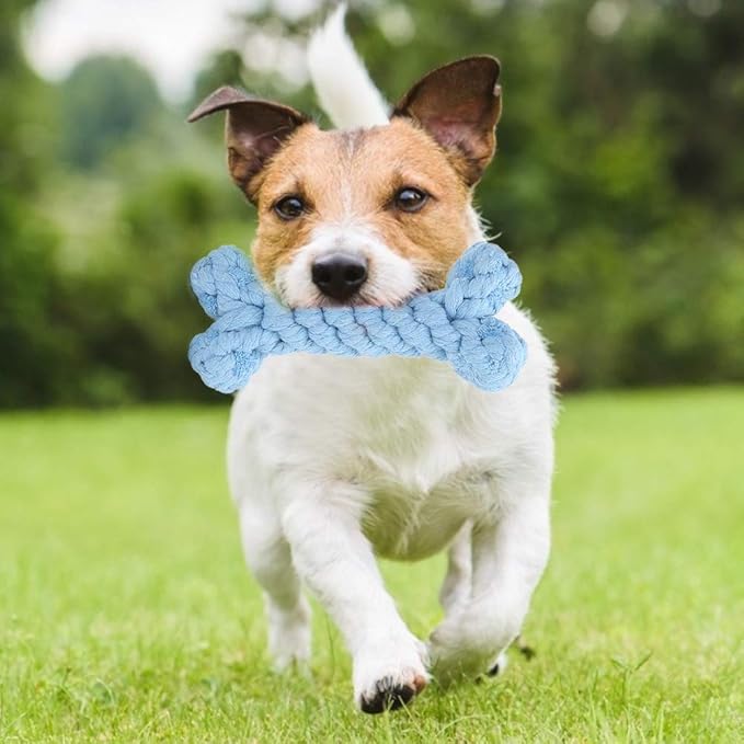 Pet Cotton Rope Biting Chewing Molar Toy, Cartoon Animal Shape & Pure Manual Weaving, Dog Rope Toys with Strong and Hard, Grind and Clean Teeth, Relieve Pressure (Blue Bones)