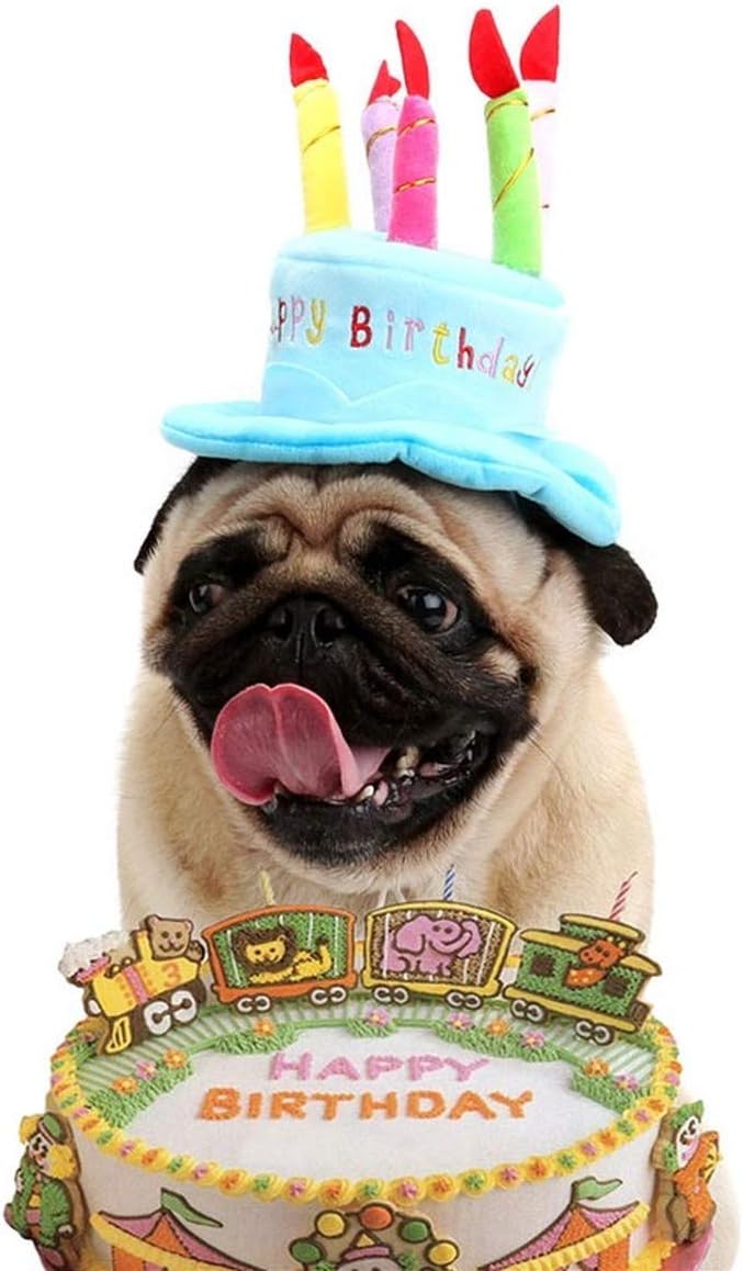 Cute Adorable Dog Cat Birthday Cake Hat Pet Cap Headwear Hat with 5 Color Candles Design Party Custom Accessory (One Size fits Most) (Blue)