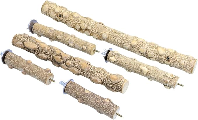 Bird Perch Stand, Bird Cage Top Perch Gym,Natural Wood Parrot Branch for Small Medium Large Parrot (M)