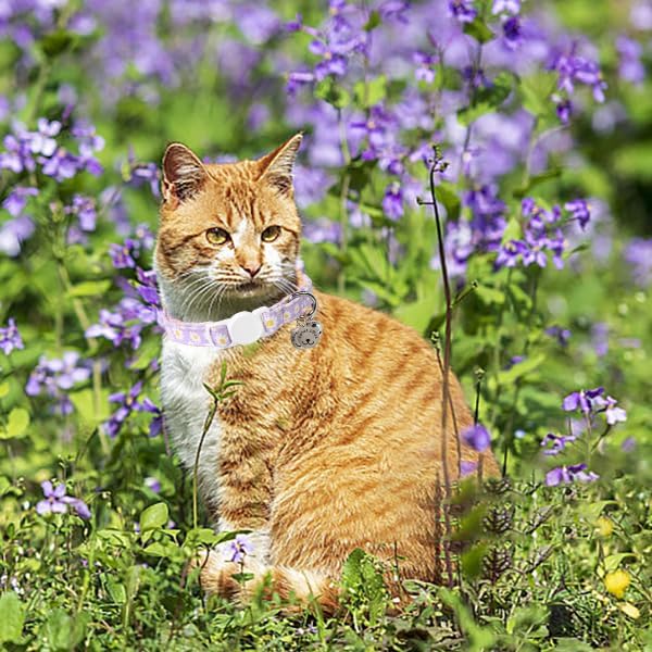 Lionet Paws 2pcs Pack Cotton Cat Collar,Breakaway Buckle with Daisy Pattern and Brand Pendant Cute Adjustable Cat Kitten Collar,Ideal for Girl Cats Boy Cats