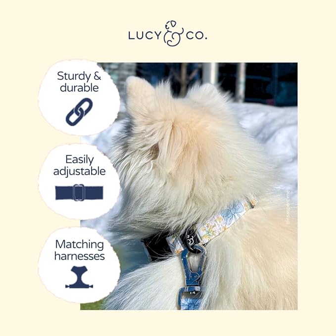 Lucy & Co. Sunshine and Daffodils Dog Collar, Adjustable Durable Dog Collar with Cute Print, Large