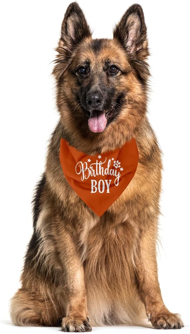 Birthday Boy Dog Bandanas - Boys' Dog Birthday Scarf for Small & Medium Dogs