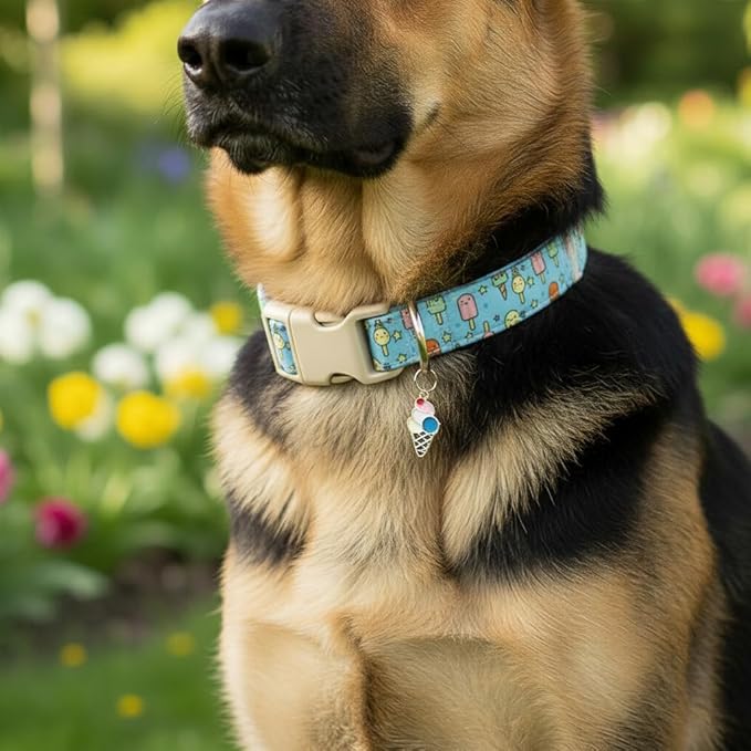 Small Dog Collar, Cute Dog Collar with Ice Cream Print and Charm for Girls Boys Dogs, Adjustable Blue Pet Collar for Small Dogs, Spring Summer Design Collar, S