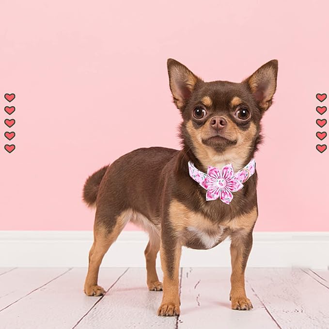 Lionheart Glory Valentine's Day Collar with Flower, Pink with Bowtie Spring Collar for X-Small Dogs
