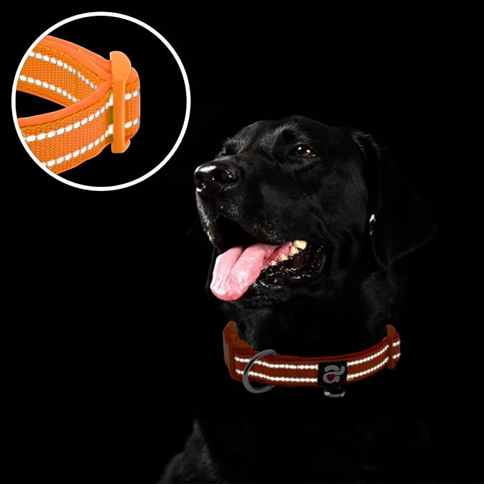 azuza Reflective Dog Collar, Soft Neoprene Padded Pet Collar with ID Tag Ring, Adjustable for Large Dogs,Orange,L