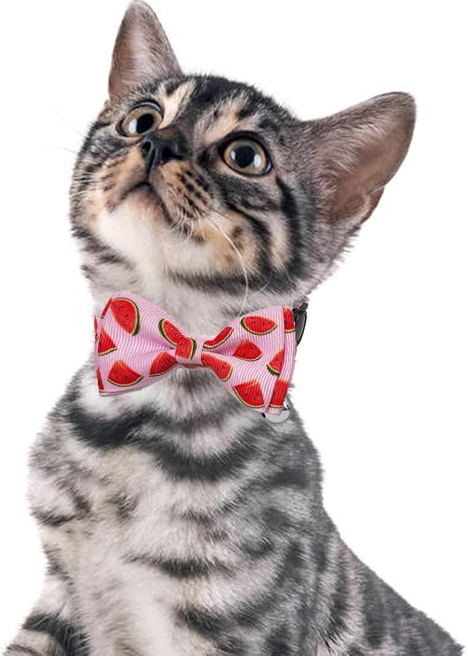 Fruit Cat Collar with Bow Tie and Bell 3 Pack Watermelon Strawberry and Pineapple Breakaway Bowtie Kitten Collars for Boys Girls Cats