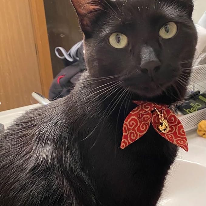 PetSoKoo Bunny Ears Cat Collar, Japan Lucky ‘開三運’ Charm. Safety Breakaway Bowtie Kitten Collar with Bell, Red
