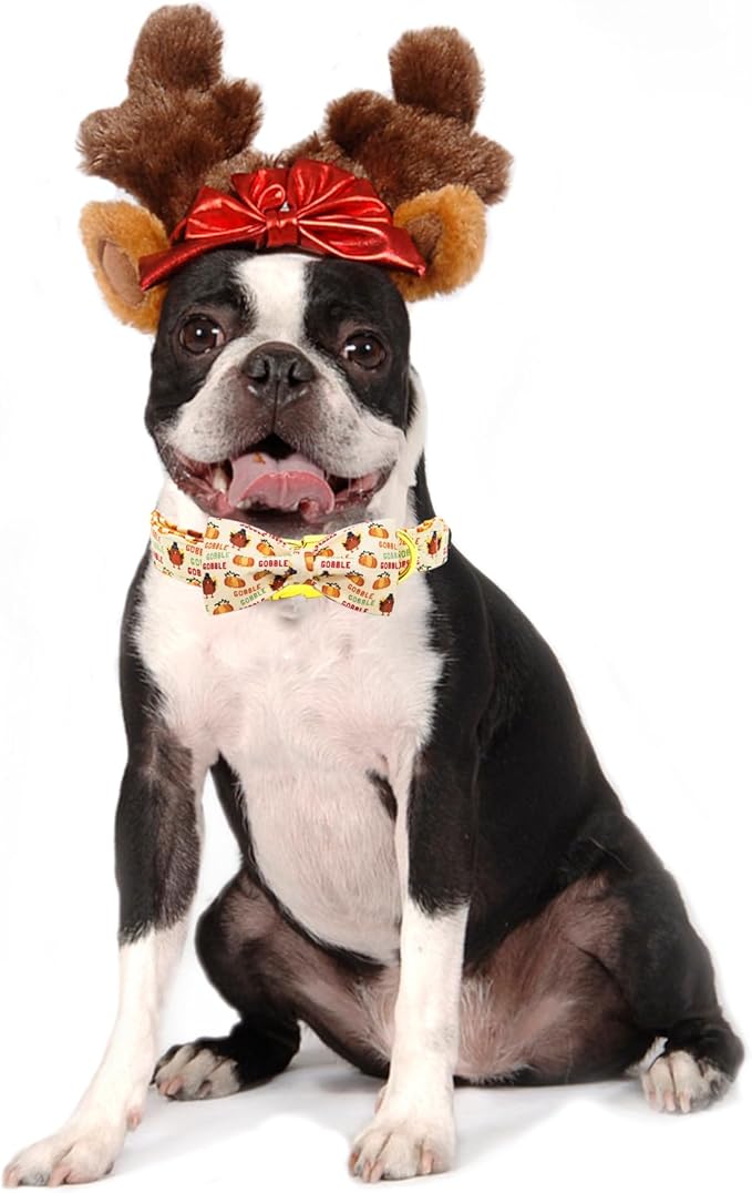 Dog Collar, Thanksgiving Turkey Pet Collar Bow Holiday Girl Boy Bow Puppy Collar Adjustable Dog Collars for Medium Dogs