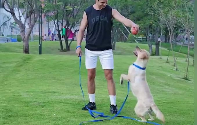 AMAGOOD Long Dog Leash for Training 15FT 20FT 30FT 50FT 100FT Long Dog Lead for Medium and Small Dogs Training,Tie Out,Play,Camping(15feet, Blue)
