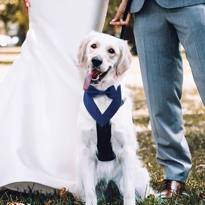 Dog Wedding Bandana, Formal Dog Tuxedo Adjustable Pet Collar with Bow, Small, Medium and Large Wedding Clothing, Birthday Gifts for Dogs (Small, Blue)