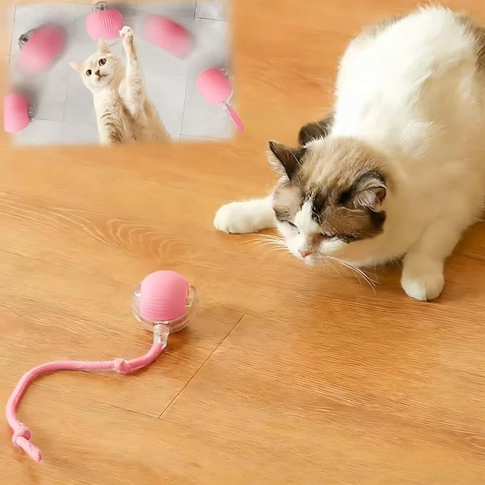 Interactive Cat Toys for Indoor Cats, Agility Move Cat Balls,Motion Activated Cat Balls, Cat Toys for Bored Indoor Cats (Pink)
