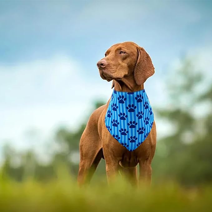 30 Pcs Paw Print Bandanas Bulk for Large Dogs 33 Inch XL Stitch Dog Bandanas Polyester Bandana Party Grooming L
