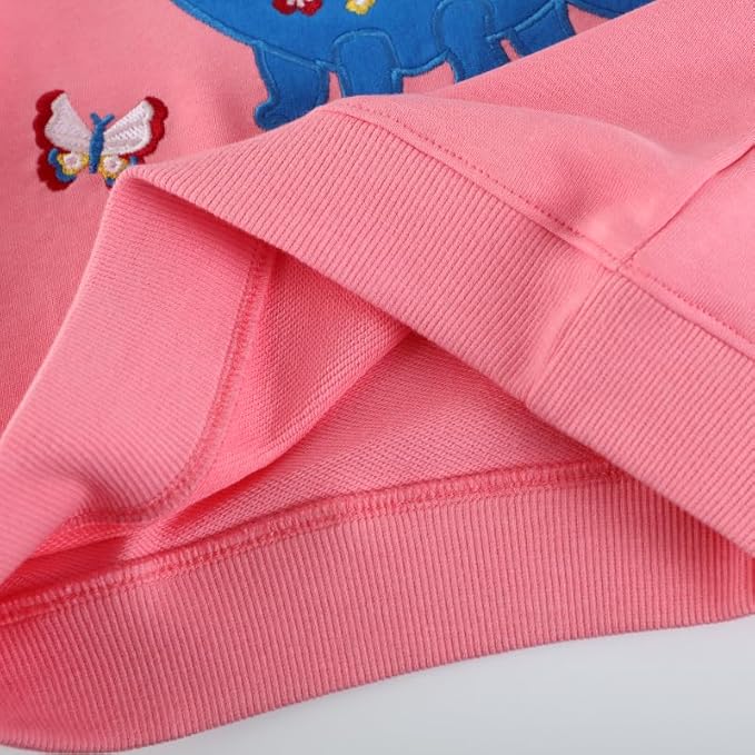Toddler Baby Girls Cotton Sweater, Long Sleeve Crewneck Sweatshirt Pullover Kids Warm Clothing for Fall Winter