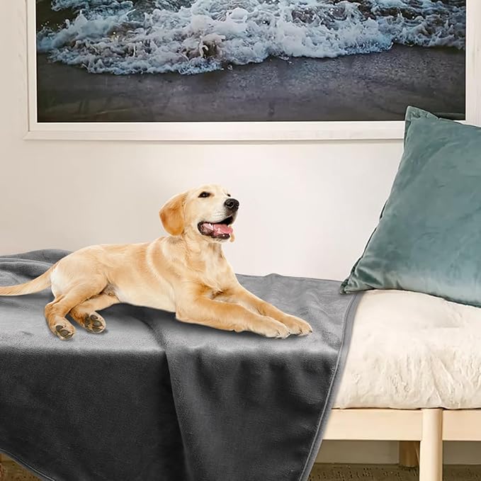 Onarway Dog Blanket Washable for Puppy: 4 Packs Dog Blankets 28”x20” - Fluffy Soft Small Throw for Cat Puppy Kitten Dogs - Fleece Pet Blankets for Bed Sofa Car and Indoor - Grey and Khaki