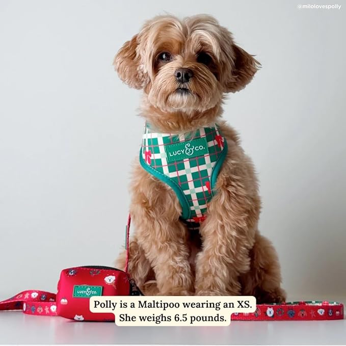 Lucy & Co. Cute Reversible Dog Harness Walking Halter - Best Designer Pet Harnesses for XS - XL Dogs - Padded Adjustable Vest for Easy Walking- Happy Howlidays - Seasonal - Medium