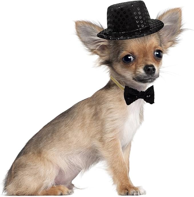 Christmas Pet Party Jazz Hat and Blingbling Bow Tie Breakaway Collar Set, Adjustable Headband for Kitten Puppy Small Dogs Cats (Black-3pcs)