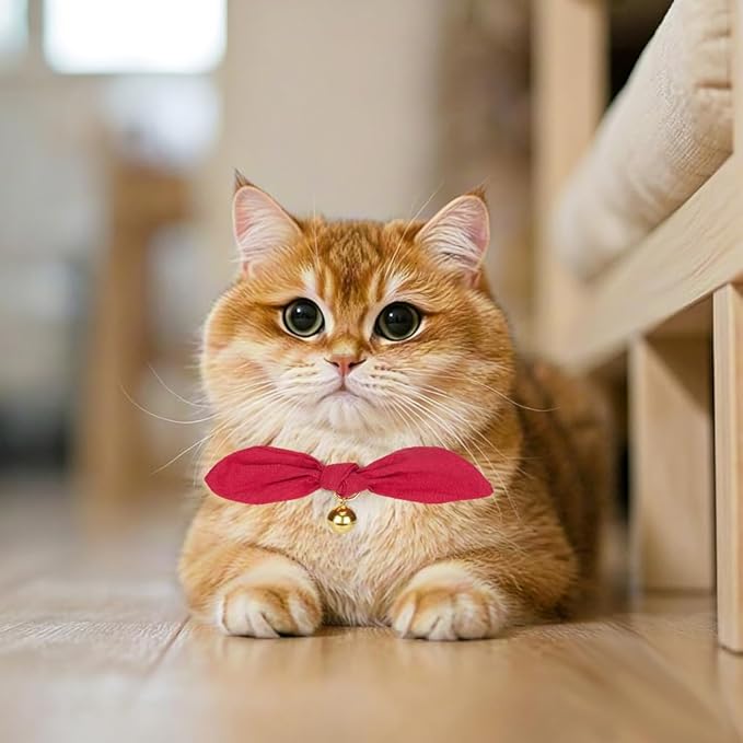 Bunny Ear Cat Collar with Bell and Bow Tie, Breakaway Cute Bowtie Kitten Collars(Red)