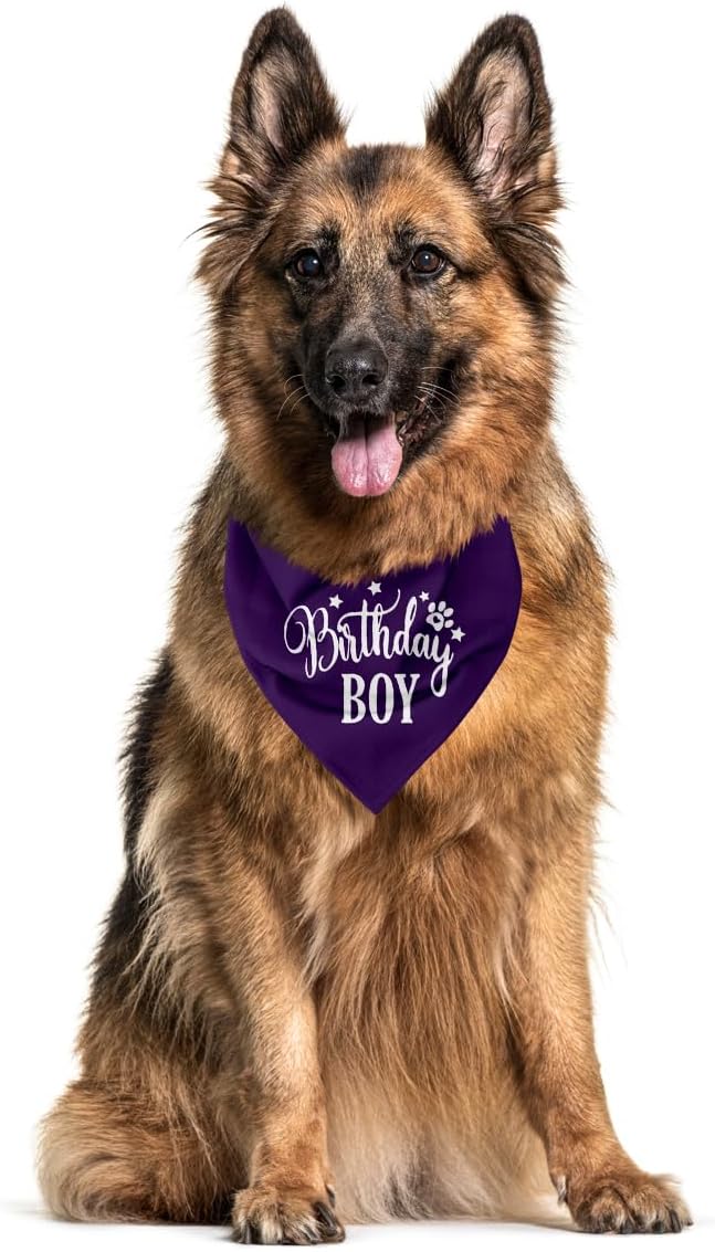 Birthday Boy Dog Bandanas, Dog Birthday Bandana, Birthday Bandana for Small Medium Dog, Pet Accessories for Dog, Happy Birthday Dog Bandana for Boys, Pet Scarf (B16)