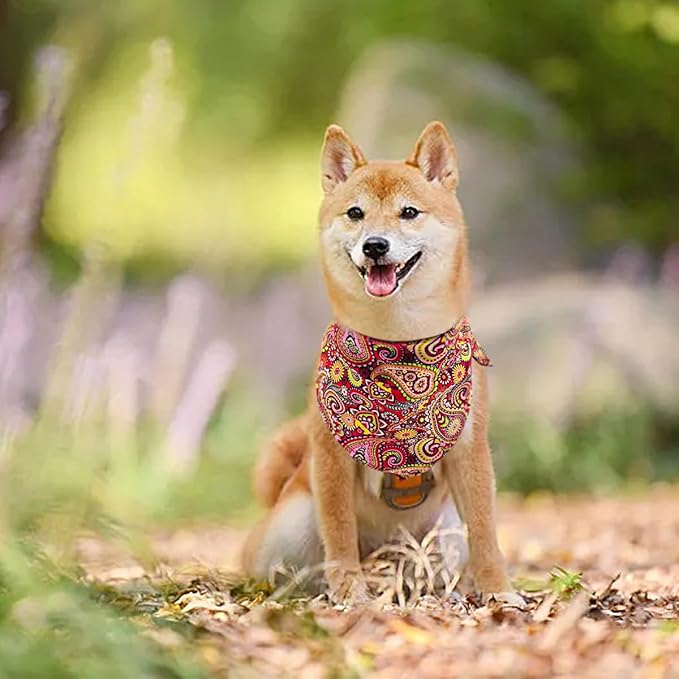 30 Pcs Paisley Bandanas for Dog Polyester Print One Side Bandana Bulk for Small Medium Dogs Breed Reversible Stitch Bandana Grooming M