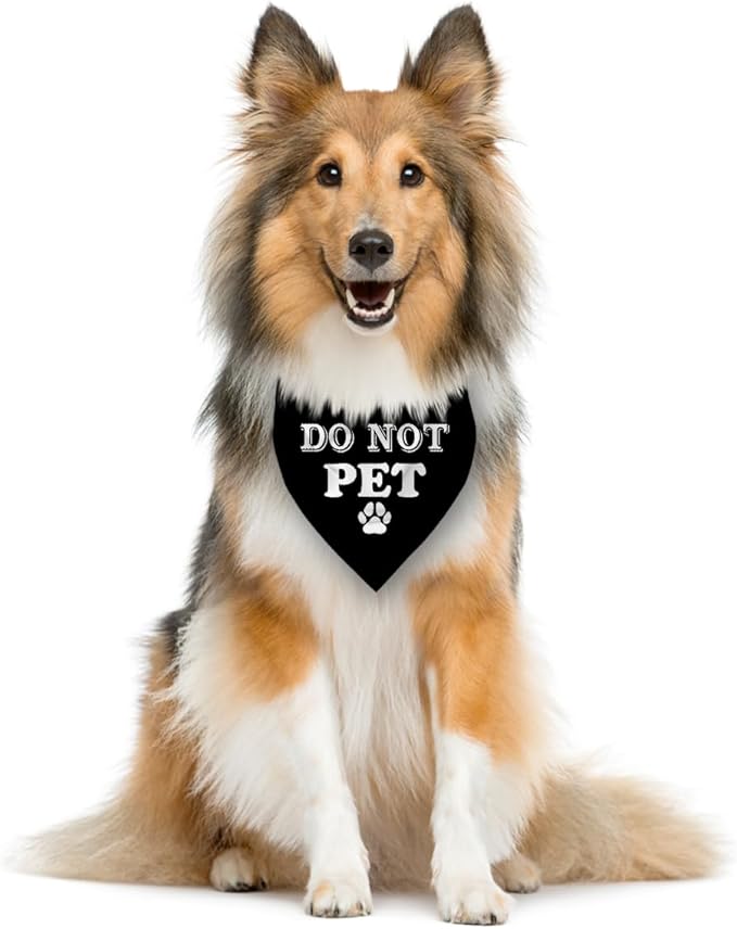 Do Not Pet Dog Bandana, Black Dog Bandana, Gift for Dogs Lover, Funny Cute Pet Triangle Scarf Accessories for Small Medium Large Dogs (D38)
