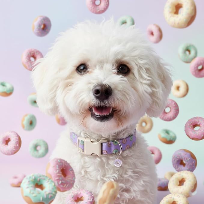 Girl Dog Collar with Unique Purple and Donut Print, Cute Dog Collar for Spring & Summer, Adjustable Pet Collar for Medium Dogs