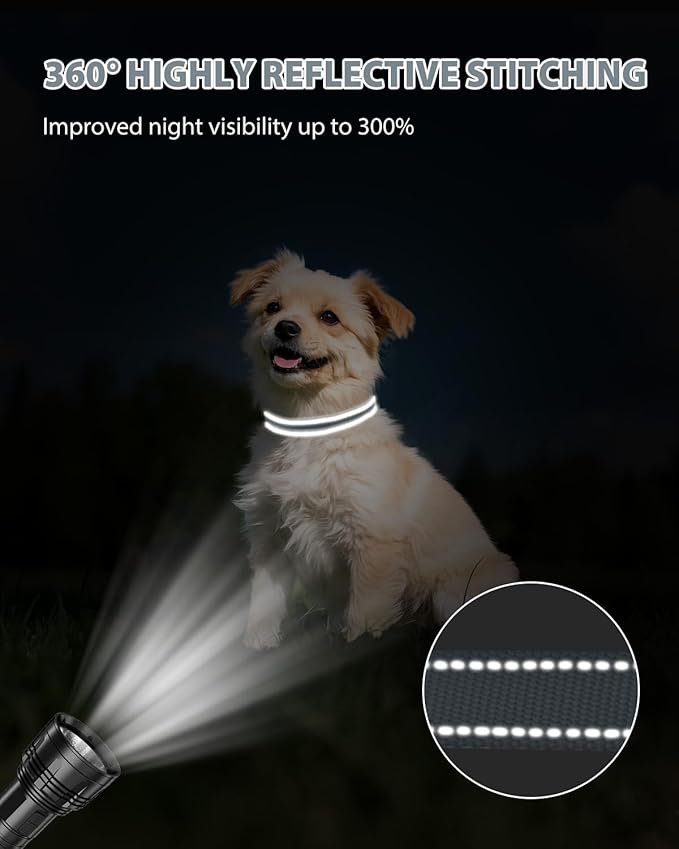 Joytale Small Dog Collar, Reflective and Adjustable Nylon Collar with Quick-Release Buckle, Lightweight No-Choke Design for Small Dogs, Gray, 3/4" Width