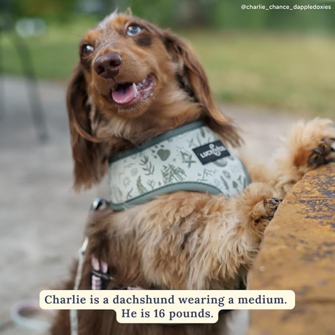 Lucy & Co. Cute Reversible Dog Harness Walking Halter - Best Designer Pet Harnesses for XS - XL Dogs - Padded Adjustable Vest for Easy Walking-Small-Green Outdoor Plaid