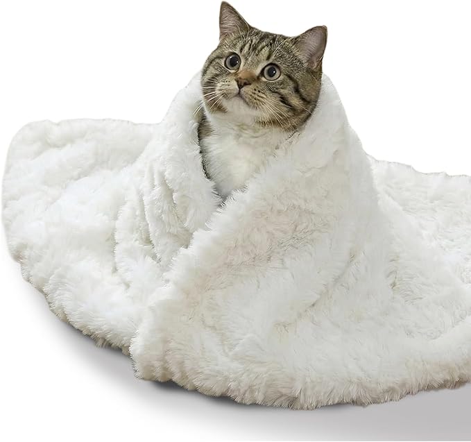 Cat Blanket for Indoor Cats Ultra-Soft Plush Small Blanket Machine Washable Cozy Calming for Kittens Cats Bed Couch Car 21"x18" White