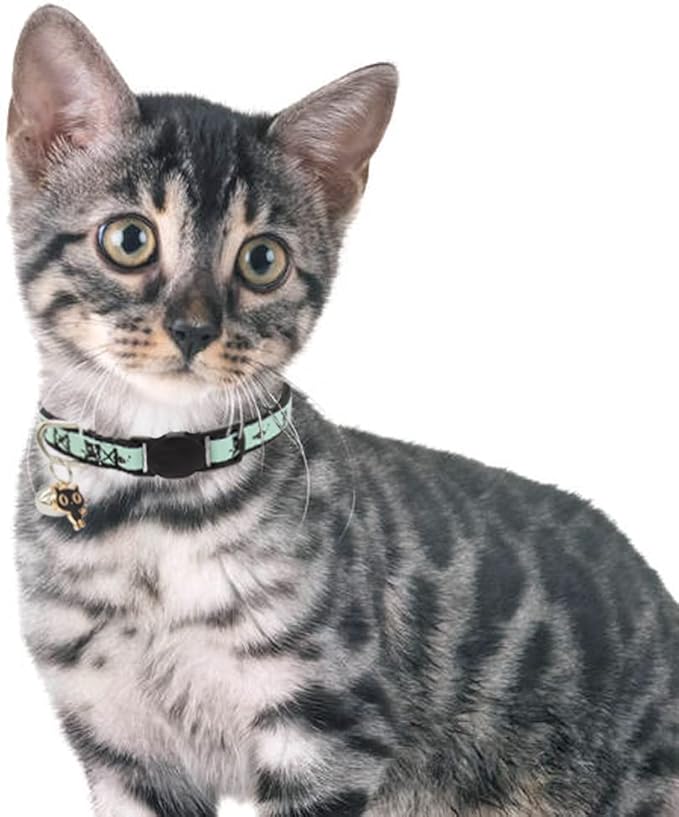 2 Pack Glow in The Dark Cat Collar with Bell Breakaway Safety Cat Puppy Collars with Pendant Red and Black