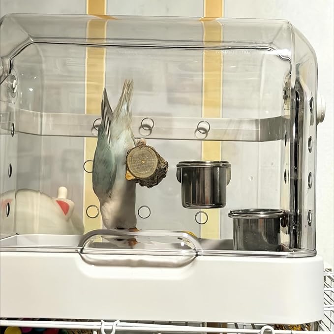 Bird Travel Cage, 10×6.7×8.3 Inches Waterproof & Sturdy Pet Carrier with Perch & Food Bowls, Portable Cage for Budgies, Cockatiels, Lovebirds & Small Birds