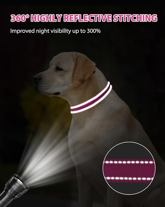 Joytale Reflective Dog Collar, Adjustable Nylon Pet Collar with Quick-Release Buckle for Medium Dogs, Hotpink, M