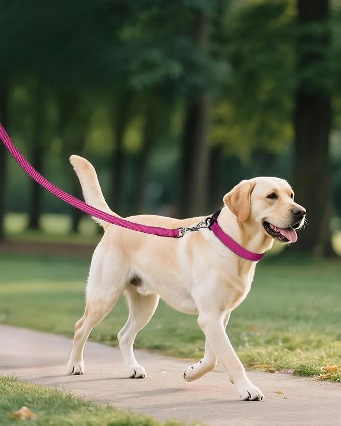 Joytale Reflective Dog Collar, Adjustable Nylon Pet Collar with Quick-Release Buckle for Medium Dogs, Hotpink, M