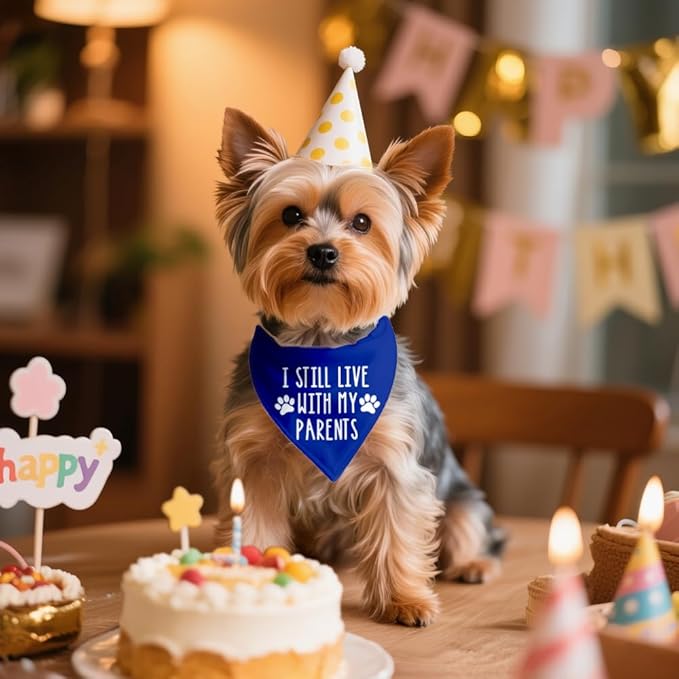 I Still Live with My Parents Blue Dog Bandana, Humor Gifts for Puppy Lover, Christmas Birthday Father's Day for Dog Mom Dad, Funny Pup Scarf Photo Prop for Holiday