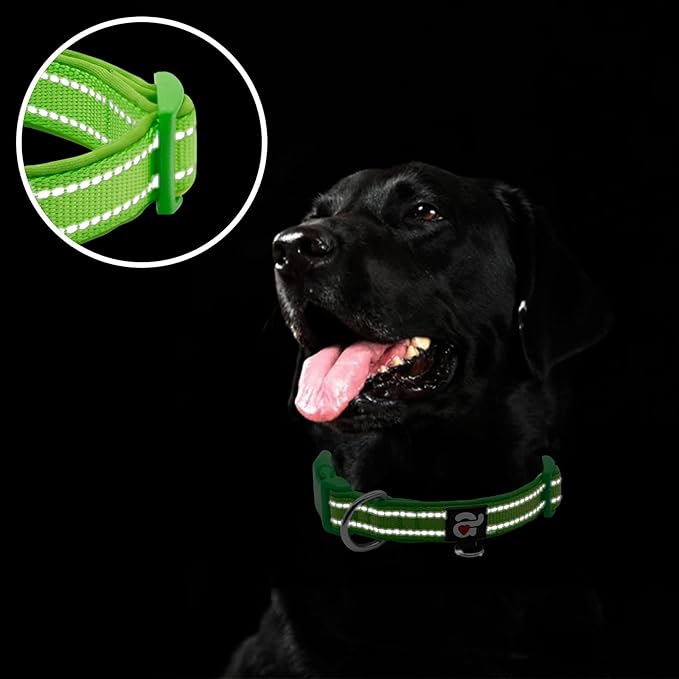 azuza Reflective Dog Collar, Soft Neoprene Padded Pet Collar with ID Tag Ring, Adjustable for Small Dogs,Green,S