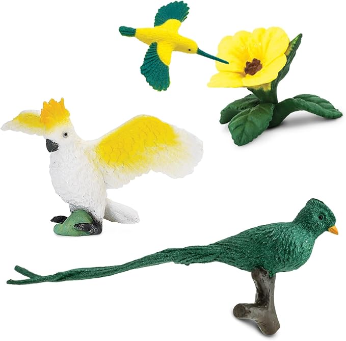 Safari Ltd. Exotic Birds TOOB - 10 Figurines: Parakeet, Quetzal, Macaw, Hummingbird, Toucan, Cockatoo, Flamingo, Snowy Owl, Parrot - Educational Toy Figures For Boys, Girls & Kids Ages 3+