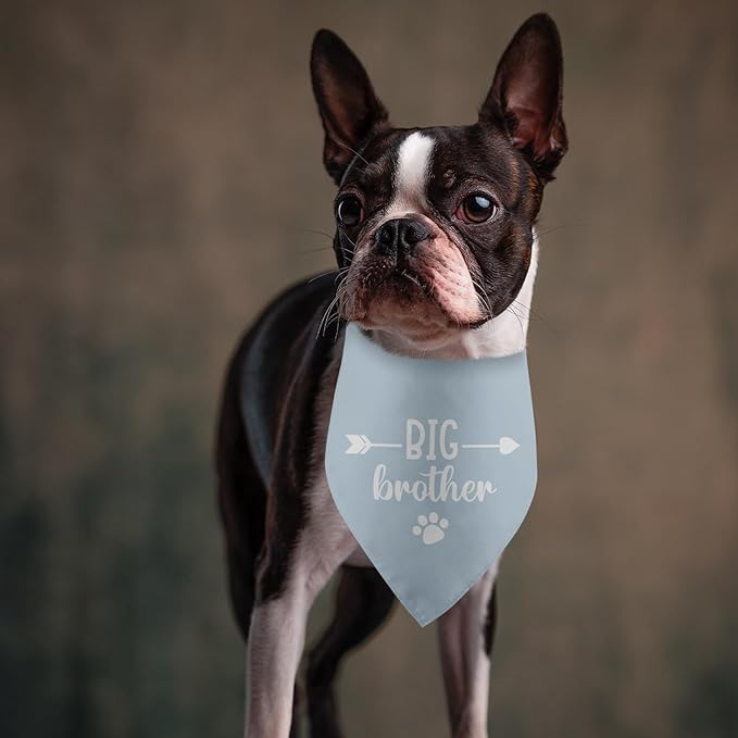 Big Brother Baby Announcement Dog Bandana - Tisubileiry Blue Gender Reveal Prop Scarf Accessory for Dog Lovers