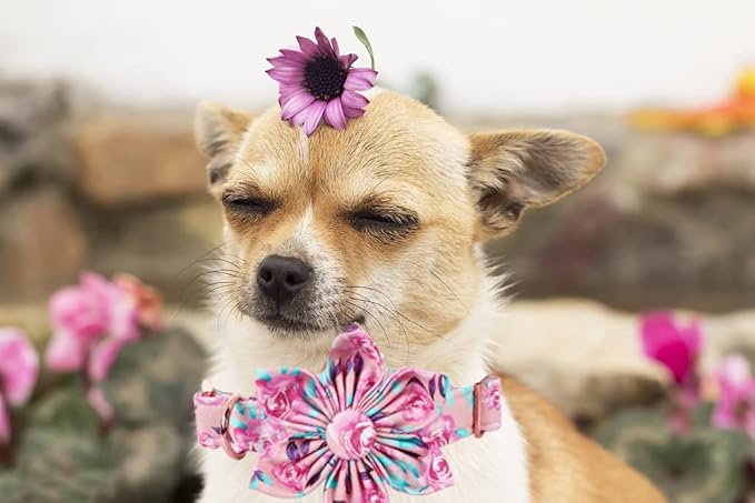 Lionheart Glory Dog Collar, Pink Dog Collar with Flower, Cute Floral Pattern Pet Collar Adjustable Dog Collar for Large Dogs