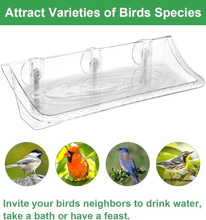 Clear Window Mounted Bird Feeder Bath with Strong Suction Cups for Outside, Transparent Glass Birdfeeder Birdbath for Cats, Kids, Elderly Viewing, 1 Pack