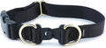 PetSafe KeepSafe Collar for Dogs - Protects Against Collar Accidents - Long Lasting - Durable - Adjustable - Breakaway - Outdoor-Safe - Medium - 3/4 In. Wide - Black
