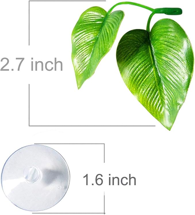 CousDUoBe 2 Pack Betta Fish Leaf Pad Improves Betta's Health by Simulating The Natural Habitat - Natural, Organic, Comfortable Rest Area for Fish Aquarium Ornaments