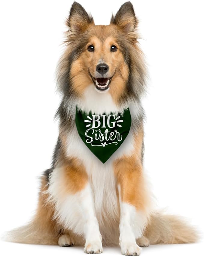 Big Sister Bandana for Dogs, Pet Pregnancy Announcement, Dark Green Dog Bandana, Dog Baby Announcement, Pet Bandanas for Large Dogs (L)