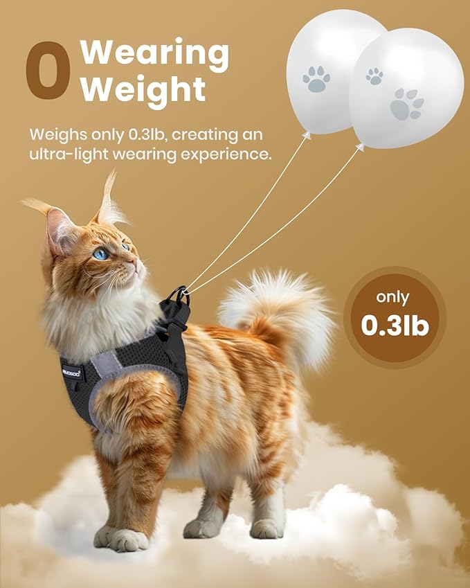 FAYOGOO Cat Harness, Cat Leash and Harness Set for Walking Escape Proof, Harness for Small Cats/Small Dogs, Large Kitten/Puppy Harness and Leash, Harness for Cats S-XXL(Black, XX-Large)