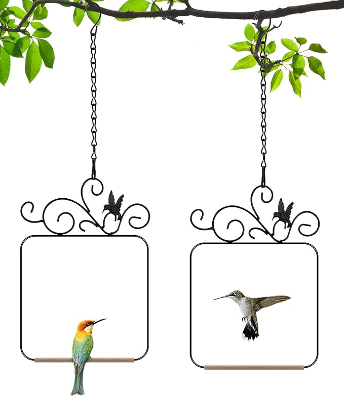 PACETAP Hummingbird Swings and Perches Metal Frame 2 Pack, Wild Bird Swing Outdoor Bird Perch with Wooden Dowel and 2 Hanging Chain for Indoor, Outdoor, Trunk, Lawn, Patio, Garden (2 Hummingbirds)