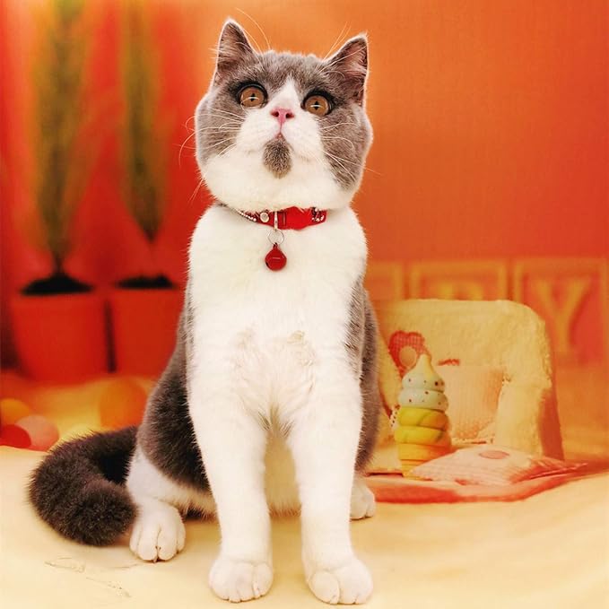 THAIN Basic Adjustable Cat Collar Bling Diamond Breakaway with Bell for Kitten Girl boy (Red)