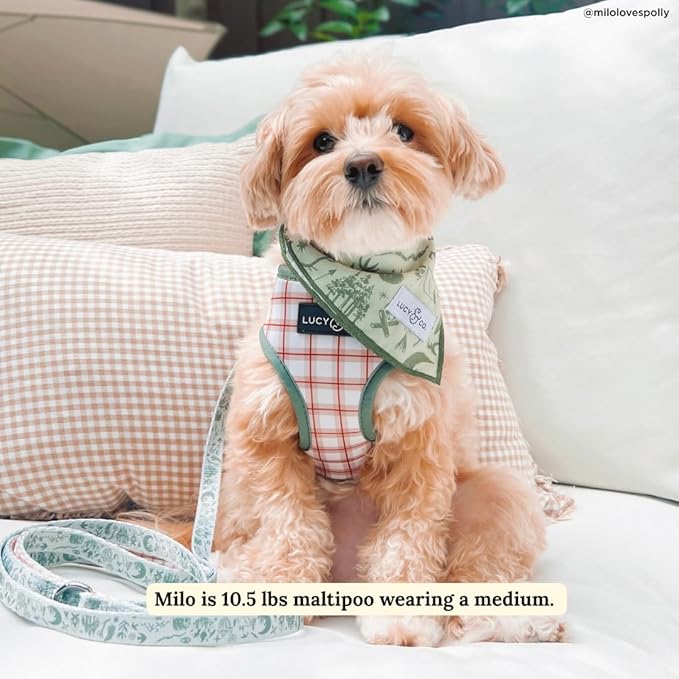 Lucy & Co. Cute Reversible Dog Harness Walking Halter - Best Designer Pet Harnesses for XS - XL Dogs - Padded Adjustable Vest for Easy Walking-Small-Green Outdoor Plaid