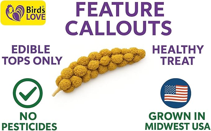 Birds LOVE Millet Tips & Tails for Birds - Parakeets, Cockatiels, Lovebirds, Finches, Budgies, Canaries, Cockatoos - Natural & Healthy Millet for Birds - Parakeet Food & Treats for All Parrots, 1lb