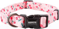 QQPETS Adjustable Soft Dog Collar: Print Flower Pink Multicolor Cute Patterns for XS Small Medium Large Pet Girl Boy Puppy Walking Running Training (M, Sakura Pink)